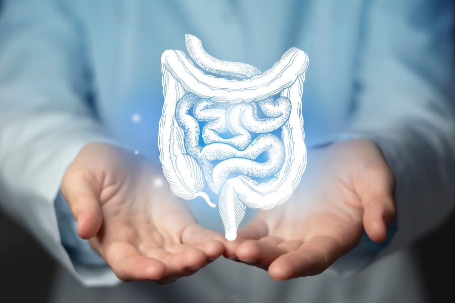 Hologram illustration of colon hovering above hands of surgeon