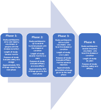  Graphic illustration explains the phases of a clinical trial.