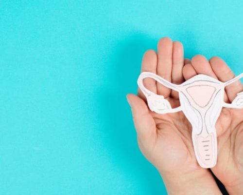 Closeup of hands holding paper cutout of uterus
